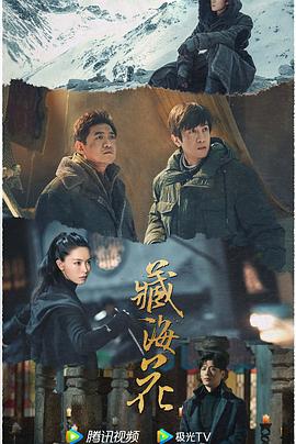 久青青视频在线观看久 - 小蝌蚪导航