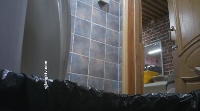 餐厅女厕全景偷拍多位美女嘘嘘各种美鲍鱼完美呈现2 (1)